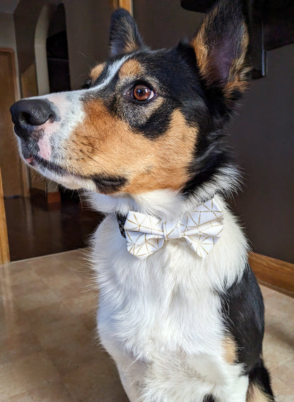 Lookin' Sharp White Bow